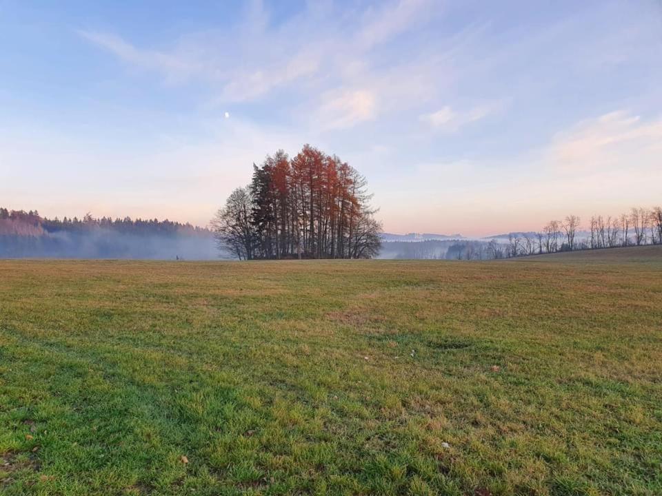Apartmany Rudnik Bolkov Buitenkant foto
